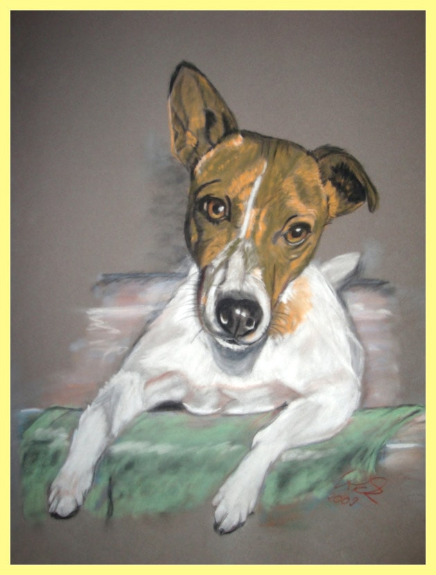 Jack Russell Terrier - Hundeportrait von Petra Rick 2009 - Pastell